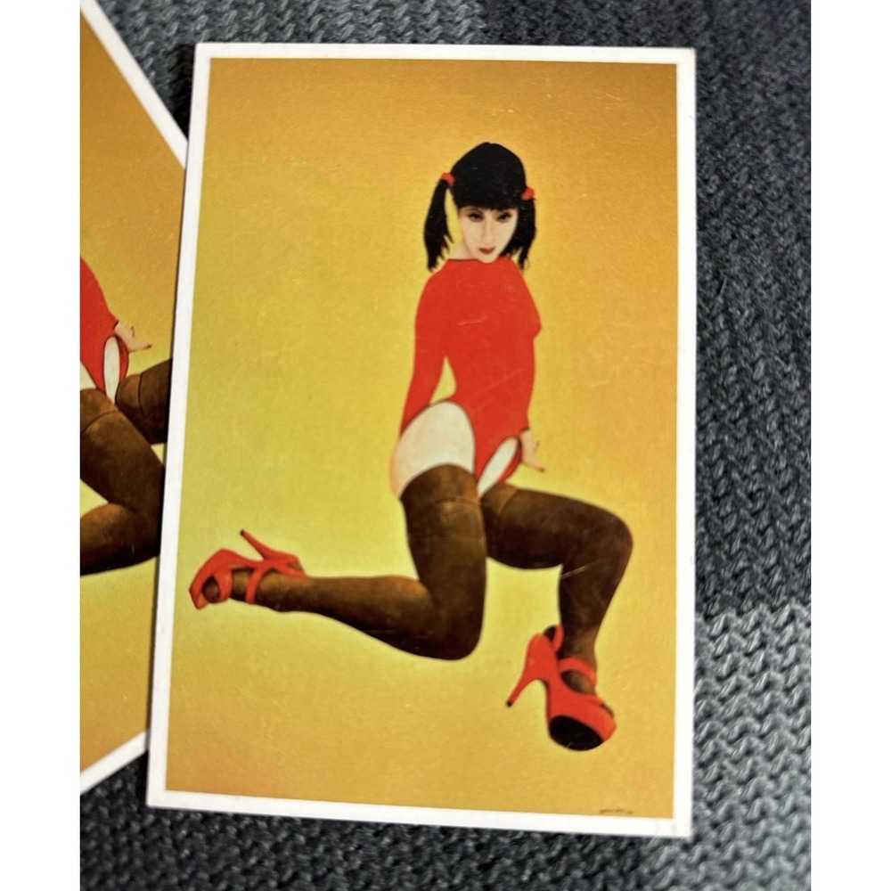 Misako postcards set of 2 by artist Peter Wedel pinup / Japanese Art  NEW !